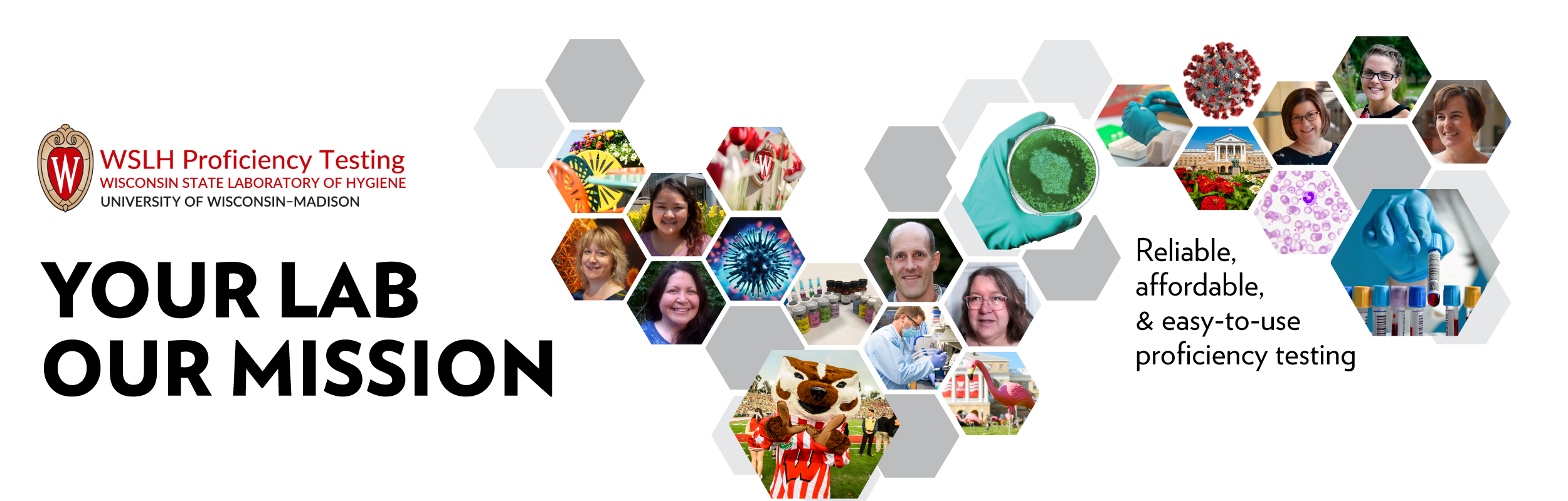 Tiled image with pictures of WSLHPT Staff and Lab